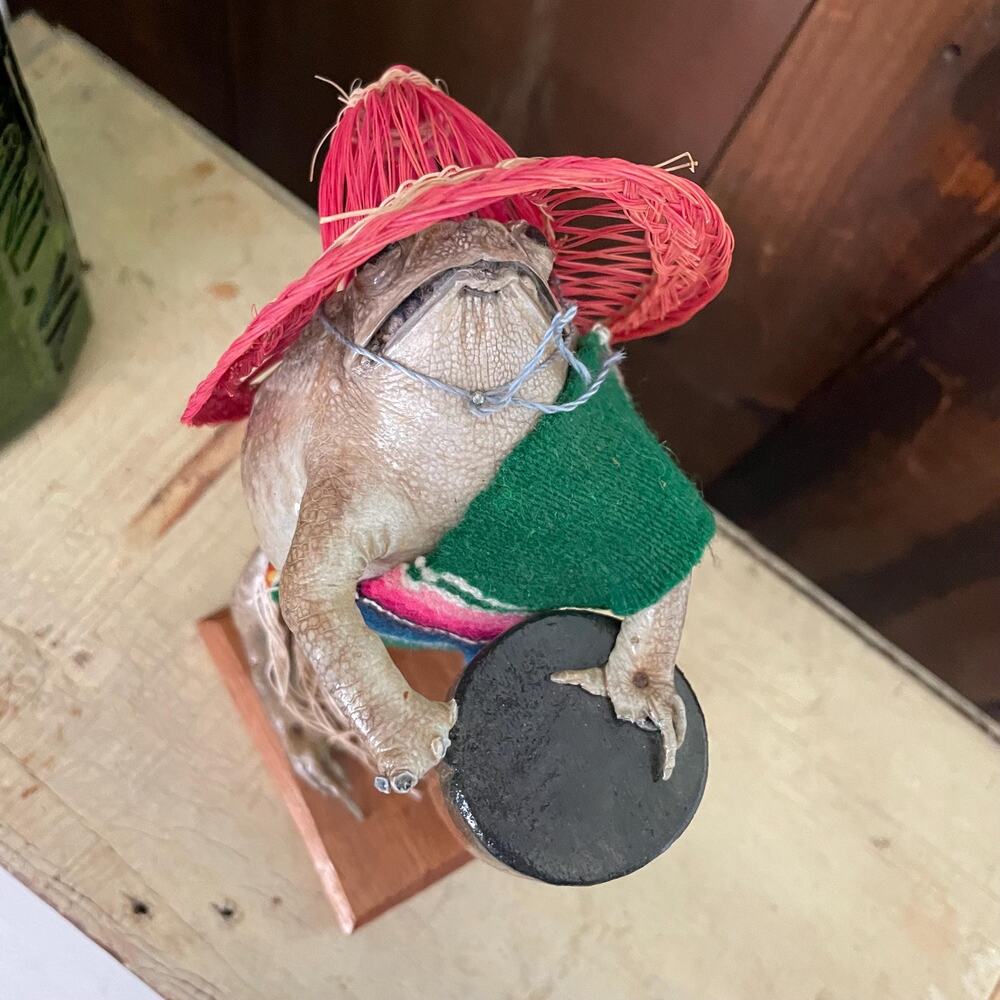 Vintage Mexican Folk Art Taxidermy Real Frog Bongo Drum Hat Serape Scarf Oddity